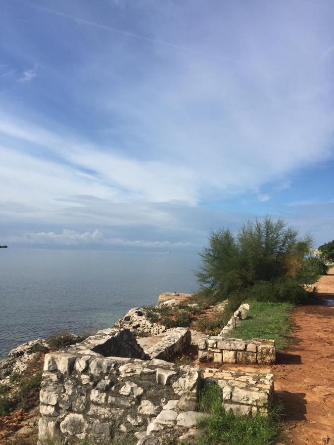 Villa Eva Karigador Novigrad Istria Esterno foto