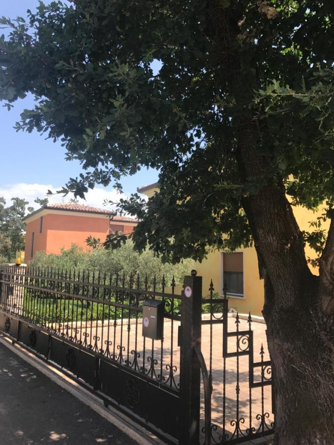 Villa Eva Karigador Novigrad Istria Esterno foto
