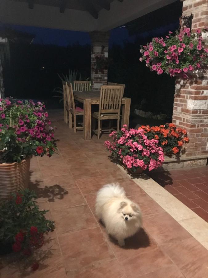 Villa Eva Karigador Novigrad Istria Esterno foto