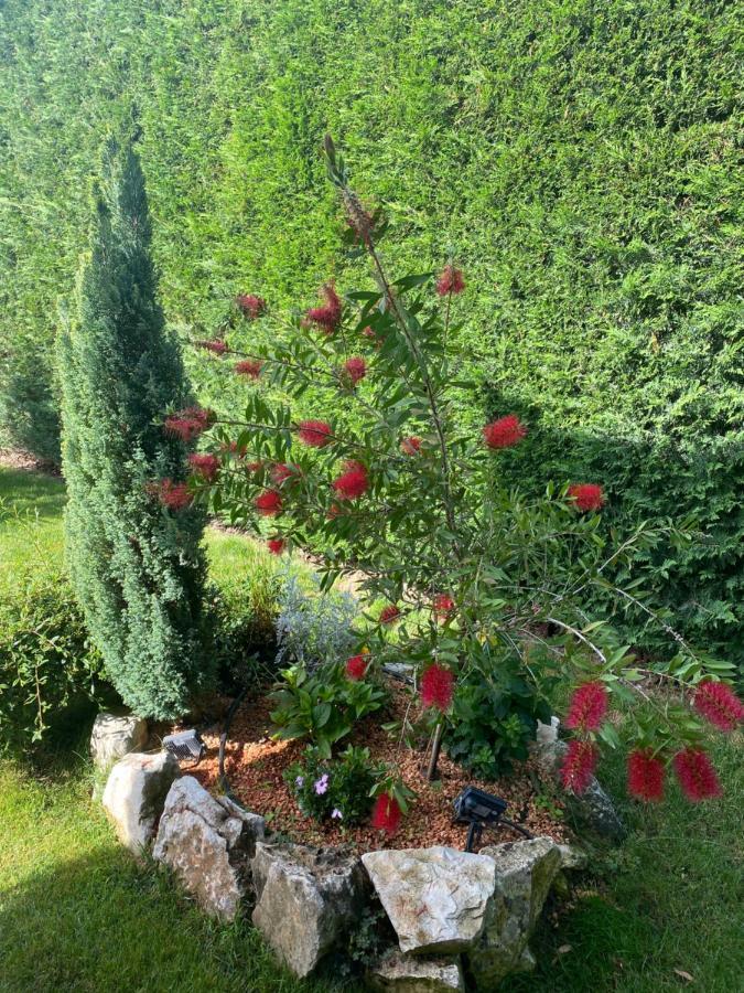 Villa Eva Karigador Novigrad Istria Esterno foto